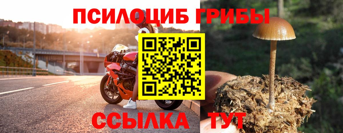 Галлюциногенные грибы мухоморы Элиста